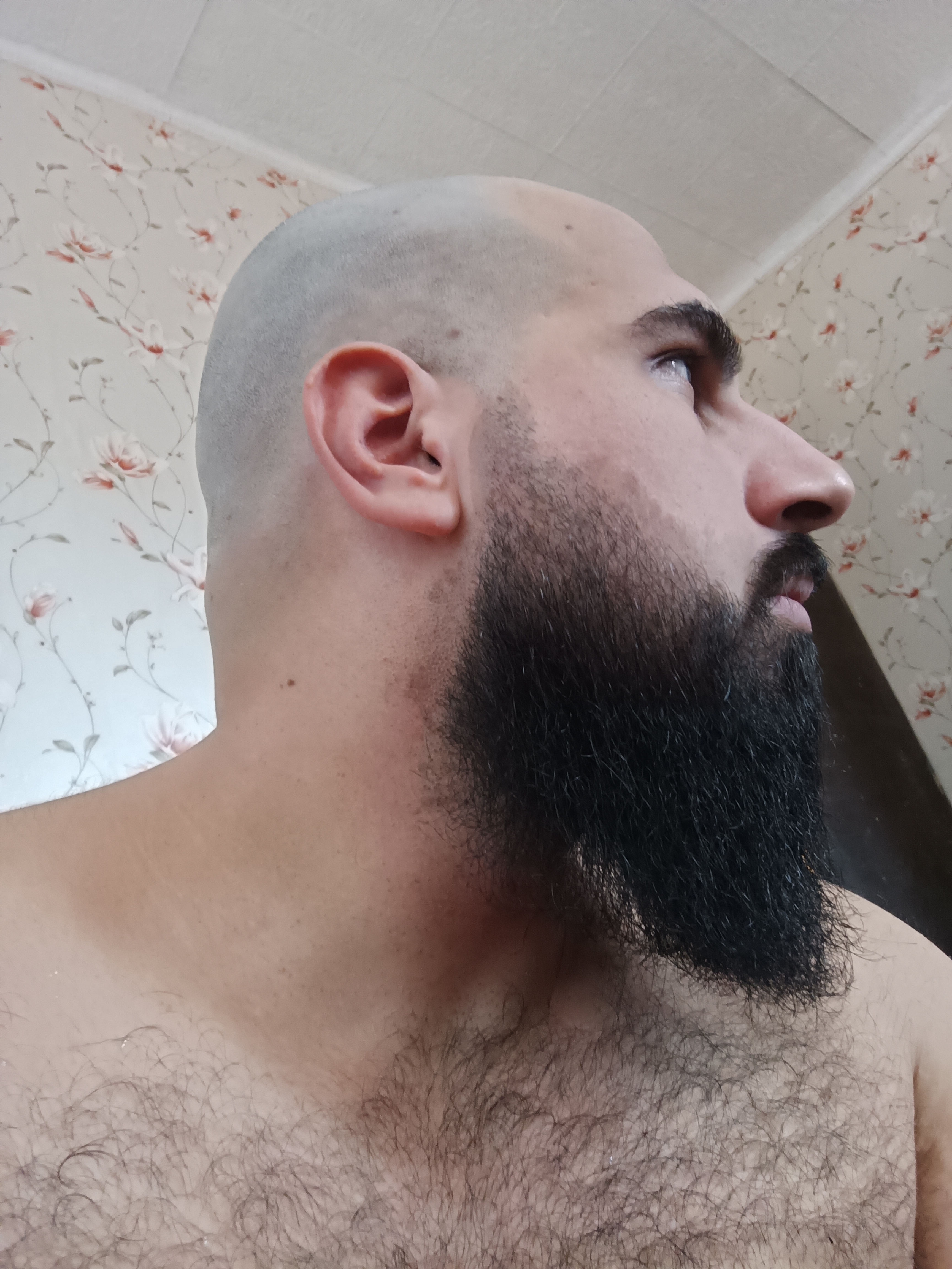 thelight3x3 avatar